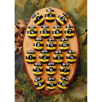 Honey Bee Number Stones, Shop Sweet Lulu