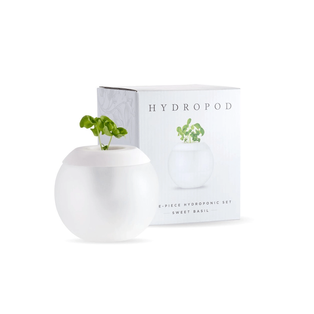 Hydropod Set - Sweet Basil, Shop Sweet Lulu