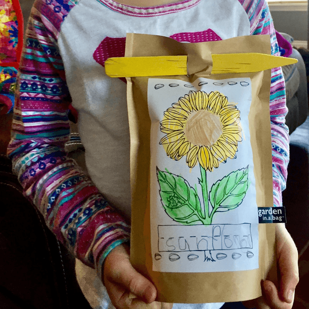 Kids Garden in a Bag - Mini Sunflower, Shop Sweet Lulu