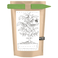 Kids Garden in a Bag - Tomato, Shop Sweet Lulu