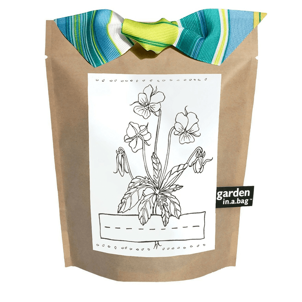 Kids Garden in a Bag - Viola, Shop Sweet Lulu