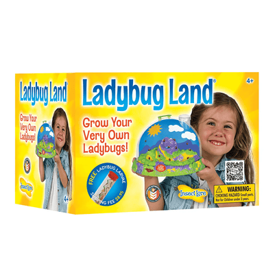Ladybug Land, Shop Sweet Lulu
