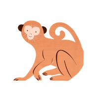 Meri Meri Monkey Napkins, Shop Sweet Lulu