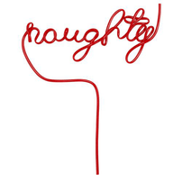 Pretty Word Straw- Naughty, Shop Sweet Lulu