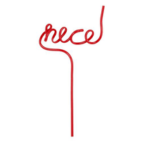 Pretty Word Straw- Nice, Shop Sweet Lulu