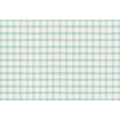 Seafoam Painted Check Placemats, Shop Sweet Lulu