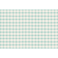 Seafoam Painted Check Placemats, Shop Sweet Lulu