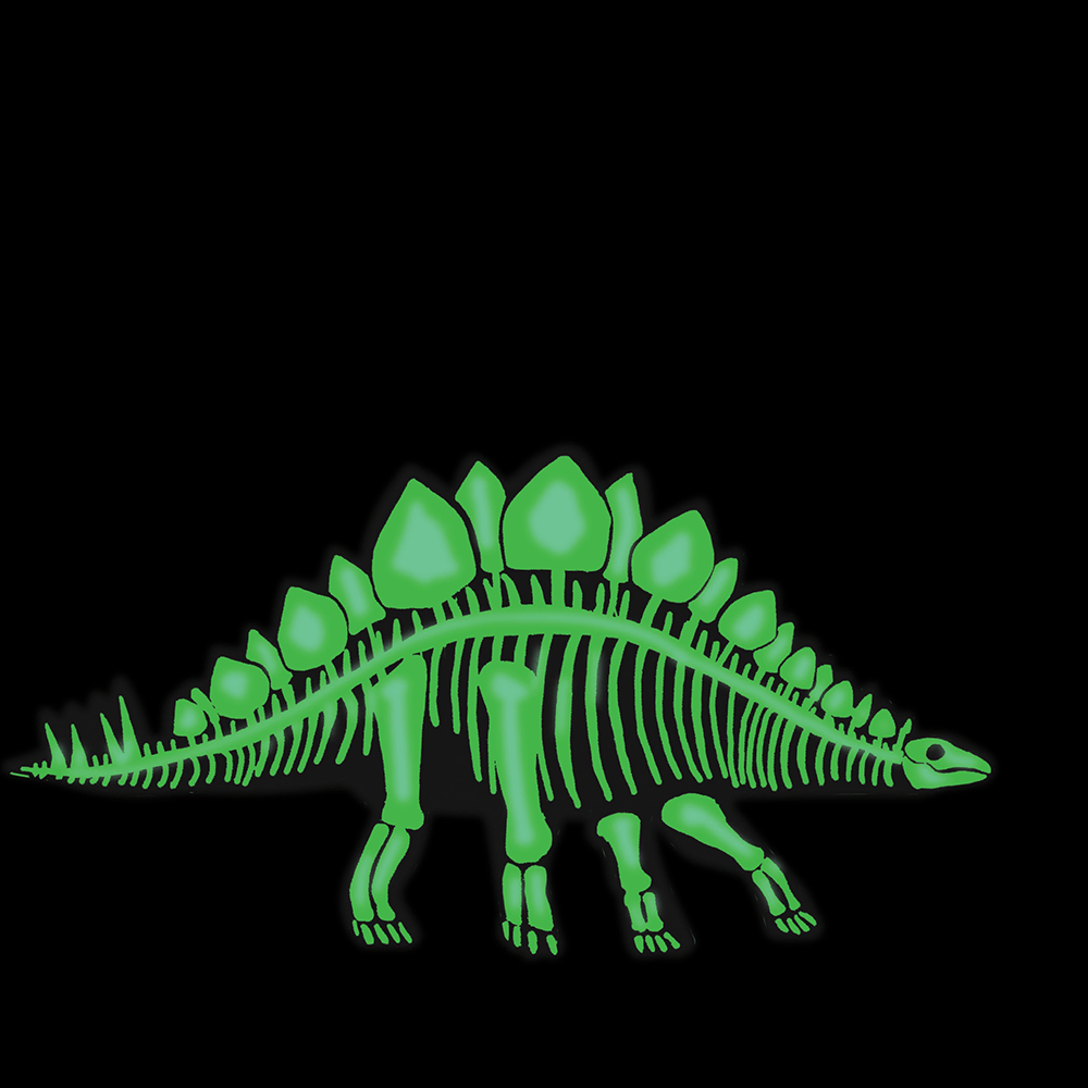 Stegosaurus 3D Dinosaur Puzzle, Shop Sweet Lulu