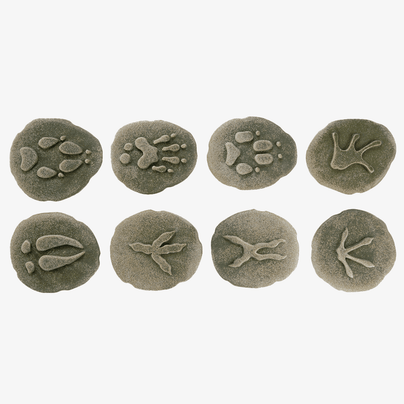Stone Woodland Animal Footprint Set, Shop Sweet Lulu