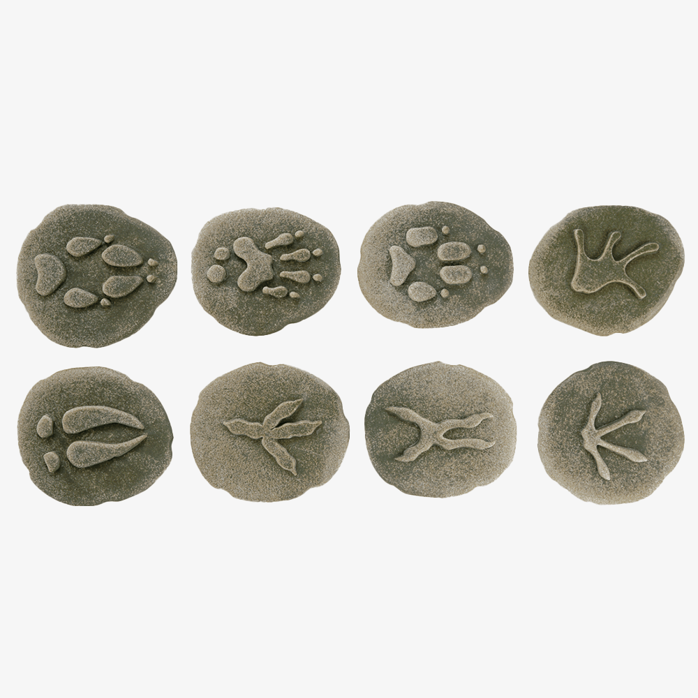 Stone Woodland Animal Footprint Set, Shop Sweet Lulu