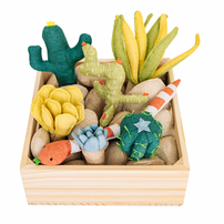 Succulent Garden Play Set, Shop Sweet Lulu