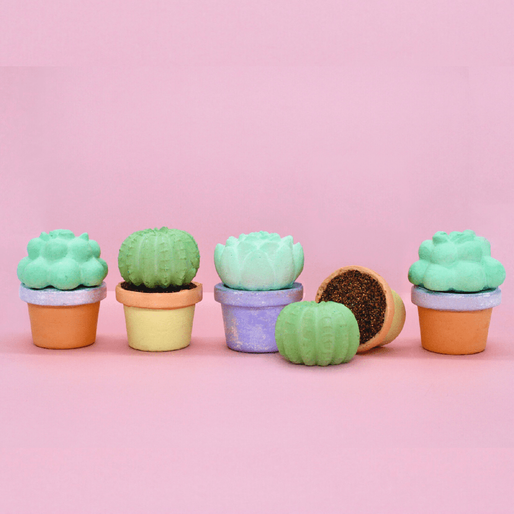 Succulents Sidewalk Chalk Set, Shop Sweet Lulu
