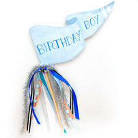 "Birthday Boy" Party Pennant, Shop Sweet Lulu