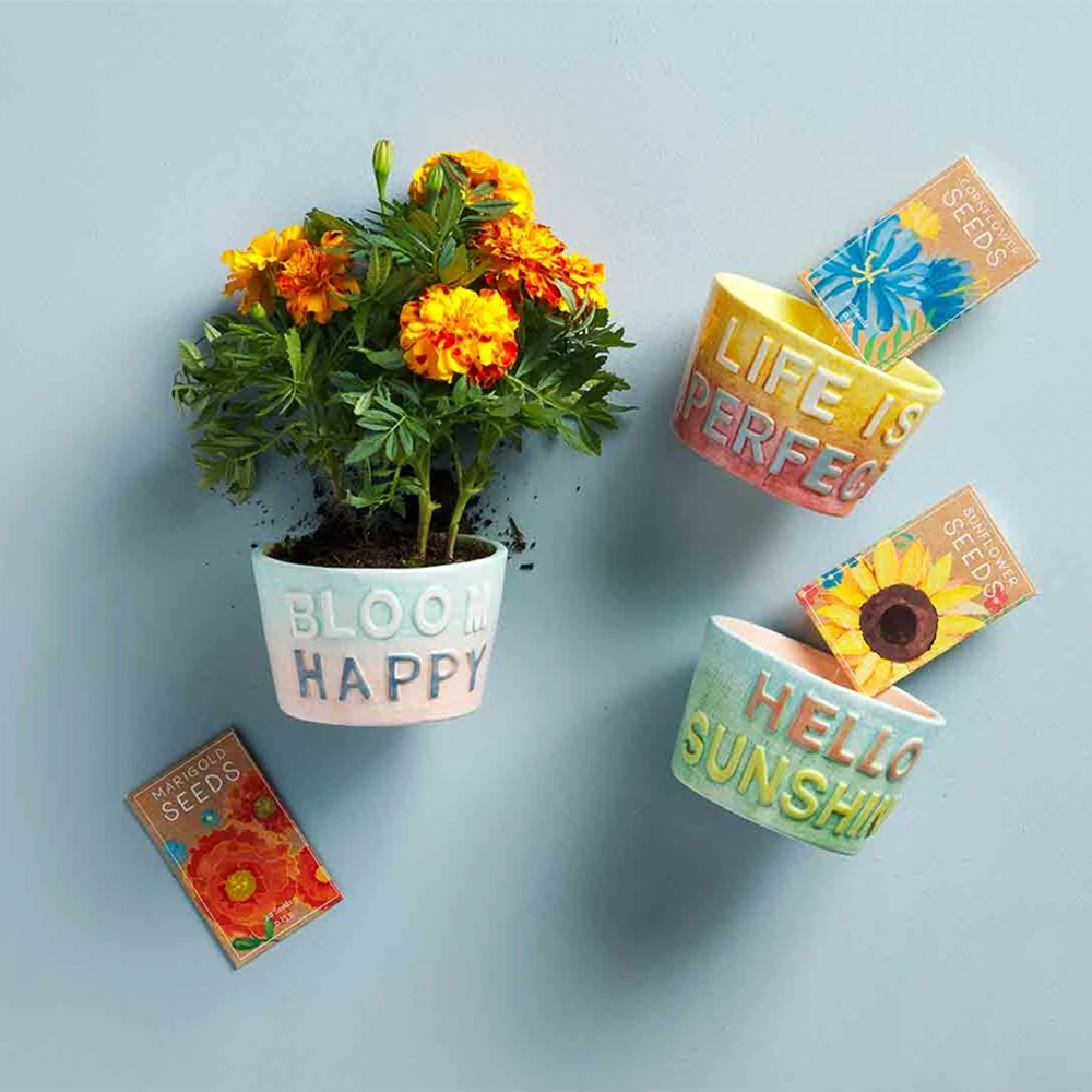Graphic Hand-Painted Flower Pots - Lulu the Baker