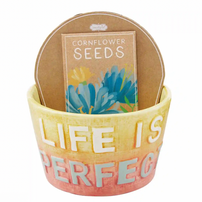 "Life is Perfect" Planter Set, Shop Sweet Lulu