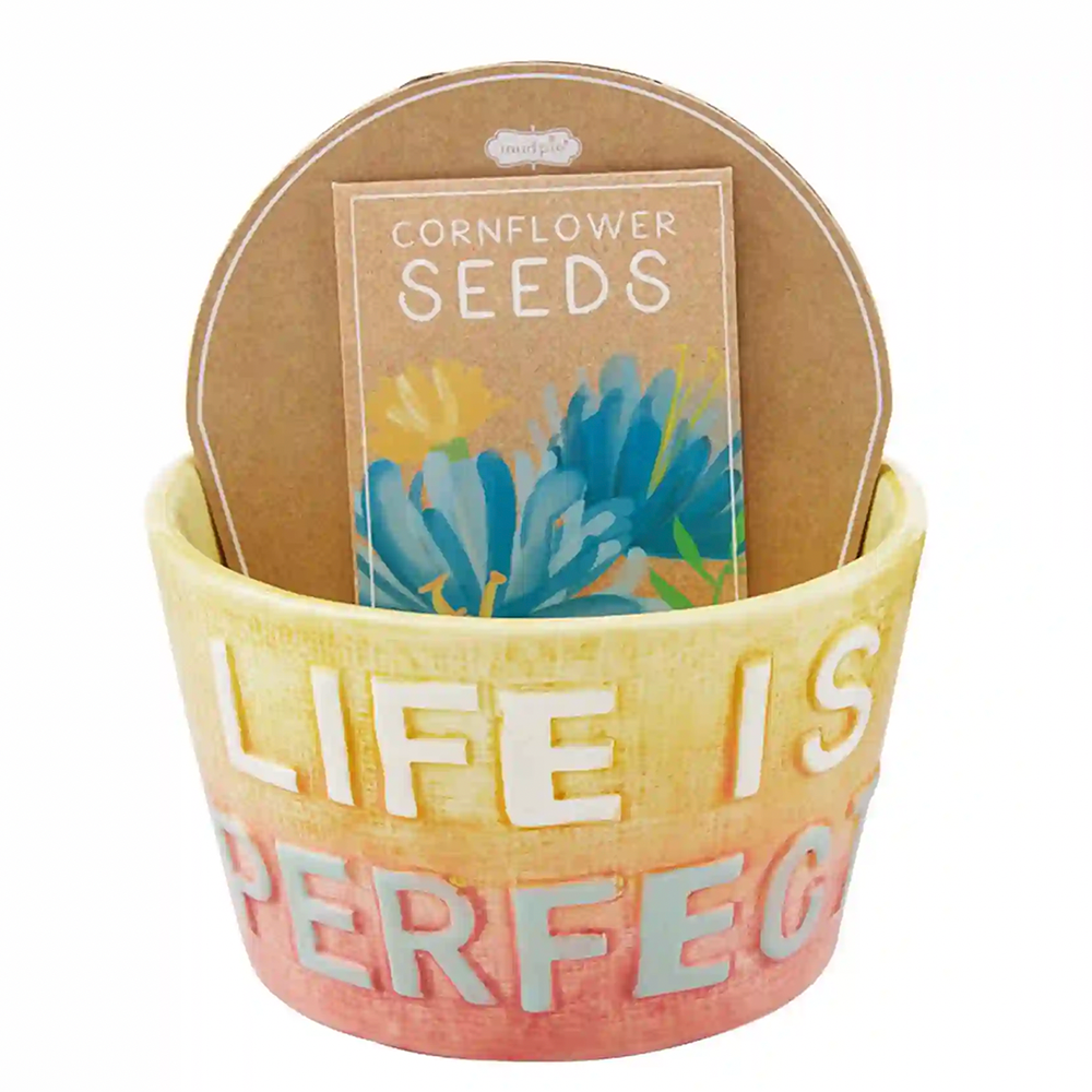 flower seed planter Mud Pie Colorful Planter Seed, Life, 3" x 3.65" Dia